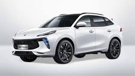 تعمیر لاماری ایما، تعمیرگاه لاماری ایما، تعمیر موتور لاماری ایما، تعمیر گیربکس لاماری، سرویس دوره ای لاماری